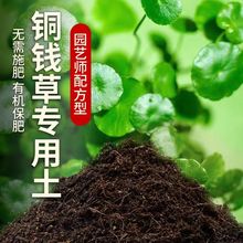 铜钱草专用土铜钱草营养土盆栽养花土通用绿植土壤种植土有机肥料