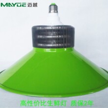 LED 50W���r��S�� ���l����  ˮ�� ���r�^ �������r�� ���П�