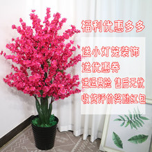 �����һ���٘��҃��b����x���Կ͏d���ͼٻ��辰���滨�Ҙ�[