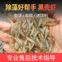 �ښ��r���B�������^�p�r�坍���r��ˮ�r���w�����坍�r�����ˮ