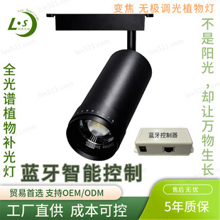 �{������ȫ���V܉����׃���{���҃Ȼ��ܾGֲ���L�a���ֲ���a���