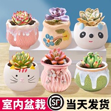 ����ֲ���҃�С���Դ��w���B�����մ���M�����l�������ƻ��ܾGֲ