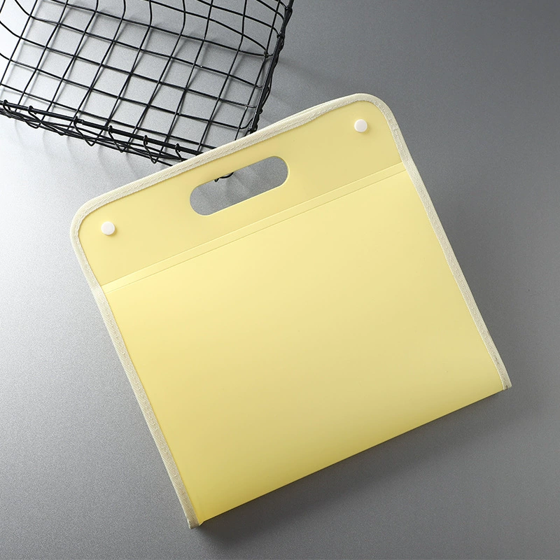 Capacious storage bag for elementary school students for documents, handheld storage system, organ, 13 floors