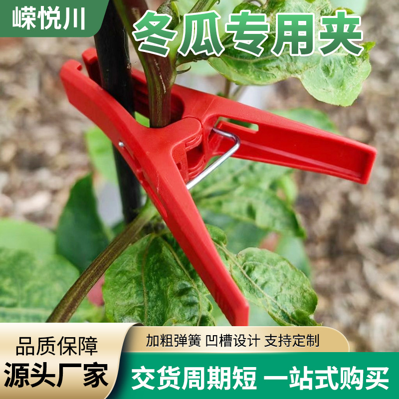 Los fabricantes suministran pinzas de plástico para verduras y frutas en invernaderos agrícolas, injertos de enredaderas, pinzas de melón de invierno, pinzas de fijación de pinzas de calabaza amarga