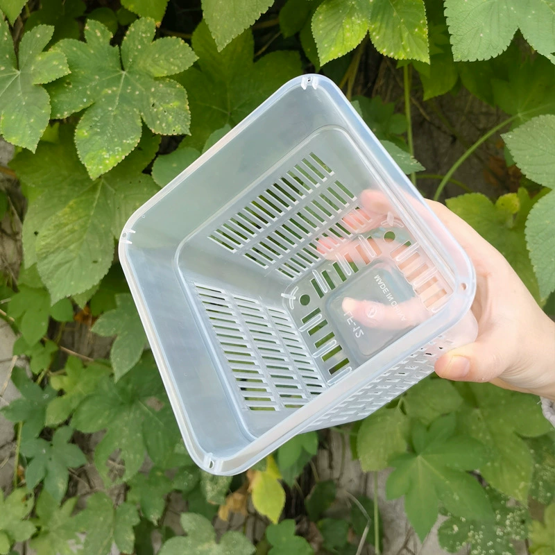 Корневой контроль квадратный горшок для орхидей квадратный пластиковый цветочный горшок дышащий прозрачный корневой горшок посадочная корзина гидропонный горшок