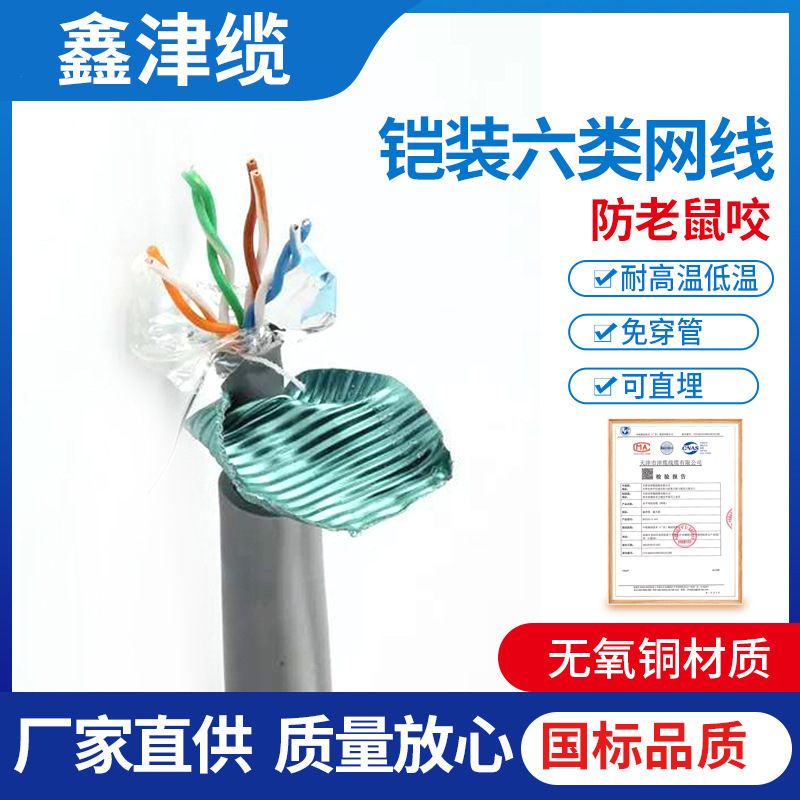 Flame-retardant armored ultra-five shielding network cable directly buried anti-mouse armored network cable low smoke halogen-free network cable