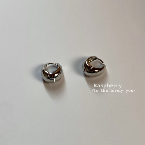 High-end and everyday Evergreen Super Smooth Earrings 2·0 Versatile Minimalist Cold Style Earrings New Earrings