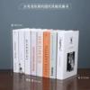 Modern Simulation Book Large Light Color (8 books)