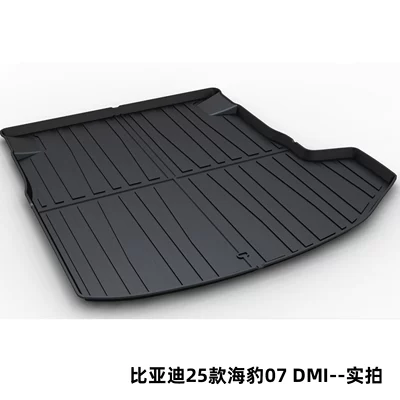 Trunk Mat: Byd Tang Song Pro Dolphin Qin - byd-25-seals-07-dmi-dedicated-car