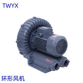 RB-077高压风机 气体循环风机 隔热循环风机 风机 鼓风机