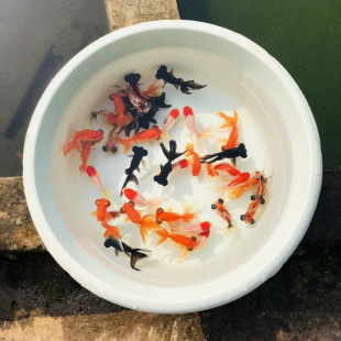 ���\���~���B�ͻ��^�p�~��ˮ�W�^���~�Q피t��ˮ�{���^��ؔ�����S