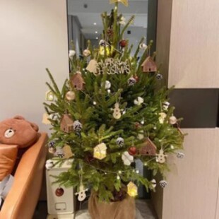 һ�����l���}�Q�� �}�Q������}�Q������ Ų���ɼ����}�Q������