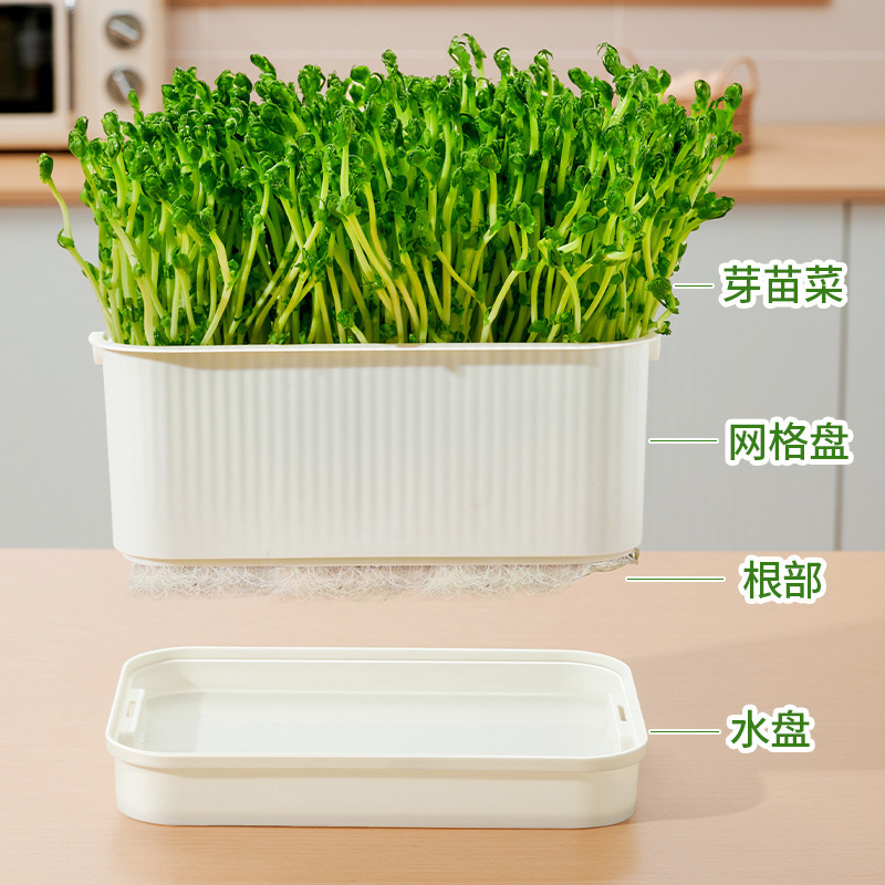 育苗盘芽苗菜盘种植发芽盆发豆芽神器黄绿豆芽无土栽培水培盘批发|undefined