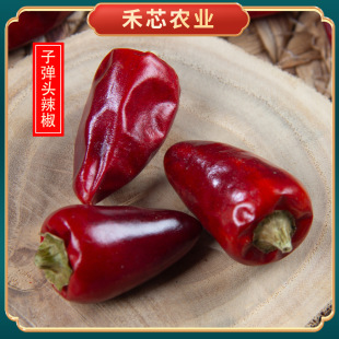 �ӏ��^������ꖳ��콷�F���خa���������m�������������u������