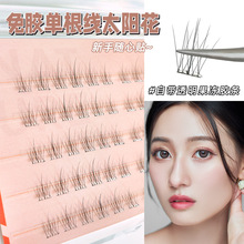 免胶假睫毛自然妈生感免胶自粘分段式睫毛自嫁接单根太阳花眼睫毛