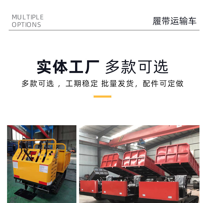 爬山虎履帶車