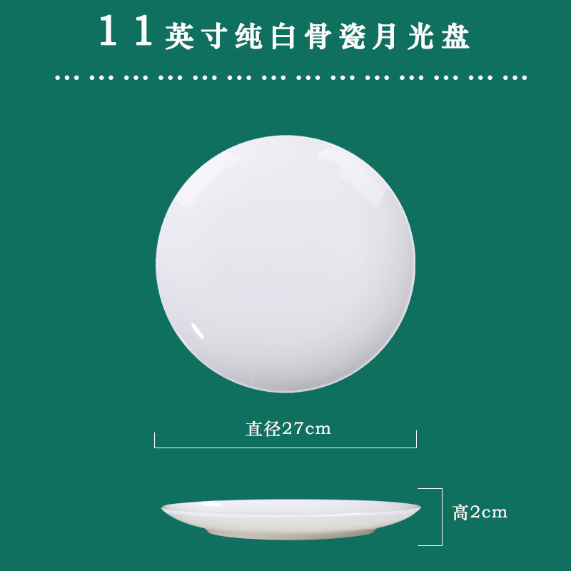 11 인치 문 디스크