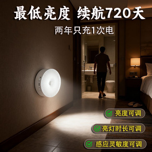 2025 New Smart Induction Night Light Human Body Infrared Induction Night Light Cross-Border USB Rechargeable Night Light