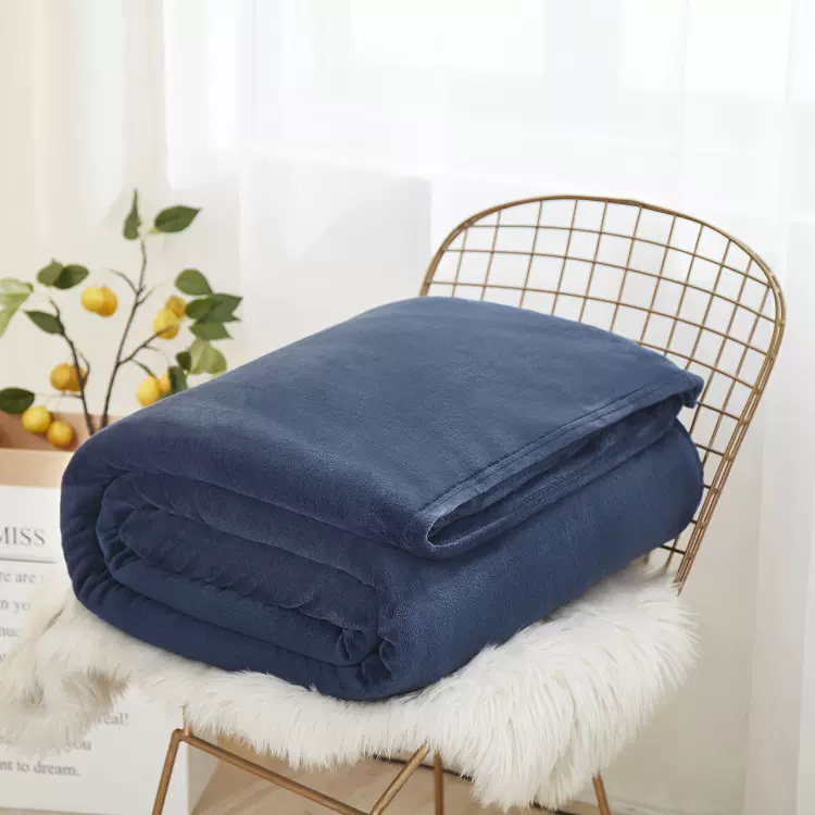 厂家直供加厚法兰绒毛毯珊瑚绒毯子外贸跨境Blanket礼品毯沙发毯