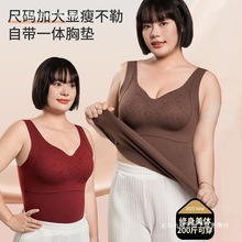 ammůŮ؉|ӺﶬŮʿo۾۔n