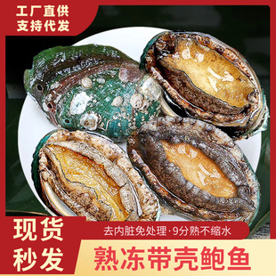 ����U�~���� ��̖�U�~���r�U�~���Ʒ�U�~�����U�~�������l