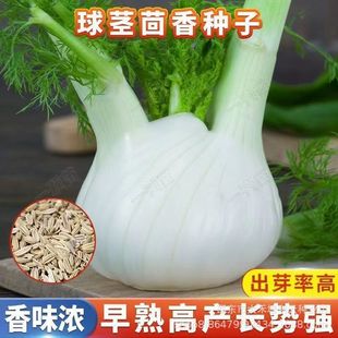 ���������L�����o����N�ӽY����������̨�ļ���ʳ�û���˷N