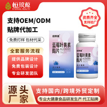 蓝莓叶黄素酯压片糖果成人儿童学生咀嚼片瓶装营养护眼集采定制