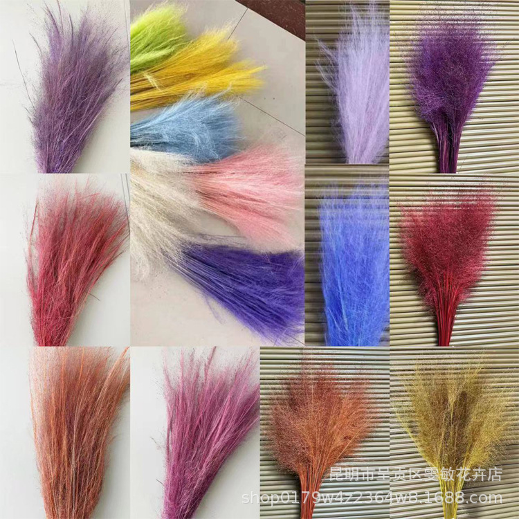 100 buah kehidupan abadi online selebriti pink Daiwa rumput dilengkapi dengan peri dekorasi pernikahan bunga pameran rumah