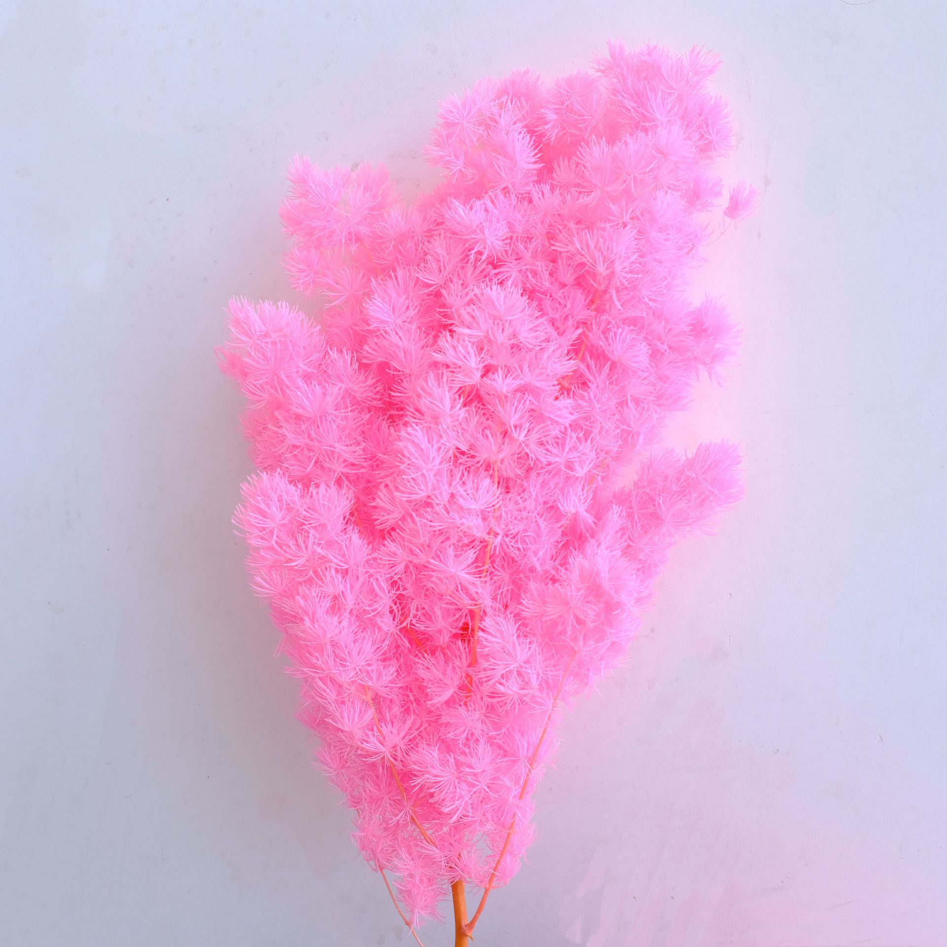 Water pink