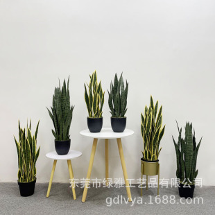 ����Gֲ���Ի�Ƥ�m�ʹ��m���m�����m����Ꭷֲ����쾰ֲ��
