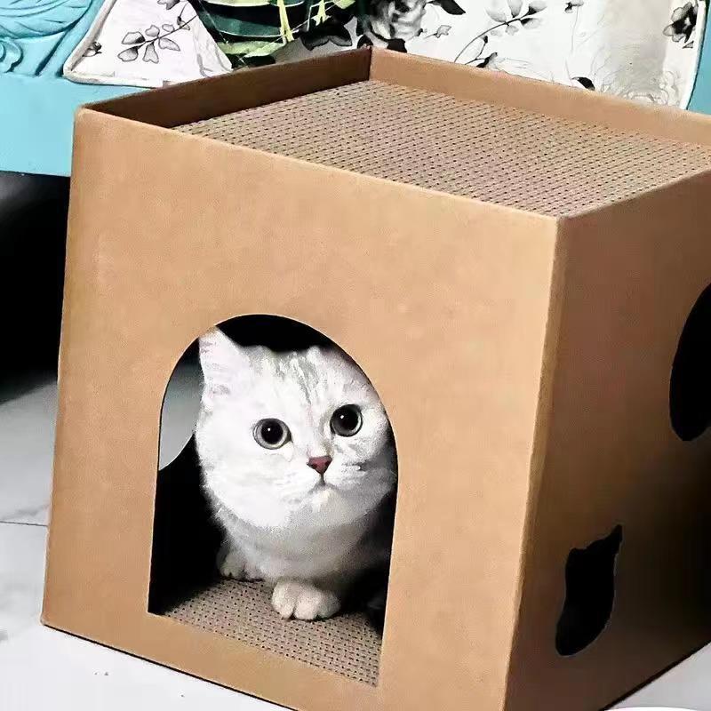 猫が板をつかんで一体的な猫の巣を整理します。猫が寝ています。|undefined