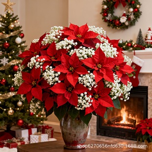 �}�Q����һƷ�t��ɫ�M���ǽM�ϻ�����cչ�����������b����컨
