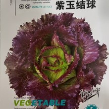 ����Y��Y�����˷N�� �r��ˈ@�ļ��߲������׷N������������