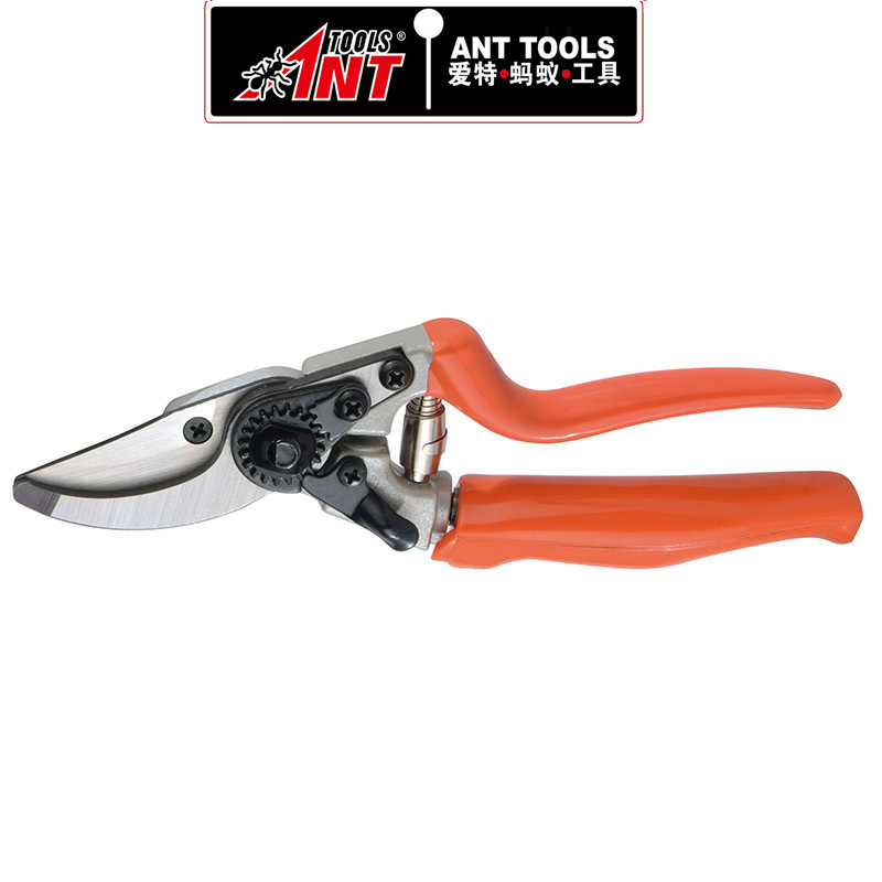 户外园林园艺果树修枝刀锋利剪子 树枝果枝园林工具