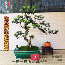 �_�h�����͘��绨���辰��Ʒ�Ϙ����ԾGֲ���k���҃ȿ͏d���B