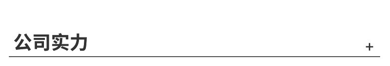 公司实力