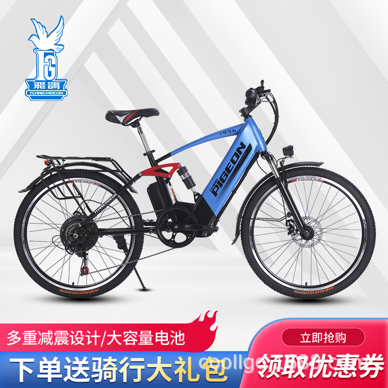 Flying Dove Electric Asisted Mountain Bike nuevo estándar nacional para bicicletas eléctricas asistidas bicicletas para adultos