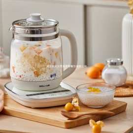 Bear/小熊 YSH-D18F1带滤网养生壶 煮茶器电水壶多段保温1.8L玻璃