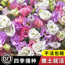 Mذ۹NļN_׻ܷNͥԺ⻨N