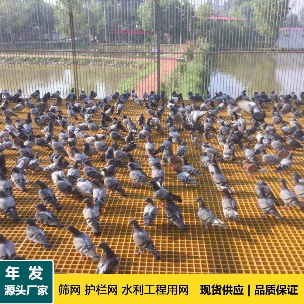 养殖基地用玻璃钢格栅板 鸽舍玻璃钢格栅养殖场地网漏粪板