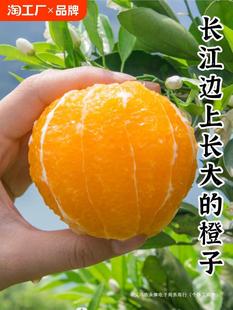 YF��Ʒ����ˮ�����r10�������𴺹����͖|��Ȃ���Ě������ե֭��