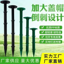 ���ϵ�� ���ݲ����̶̹���� ����@ˇ���ݲ���Ĥ�̶����