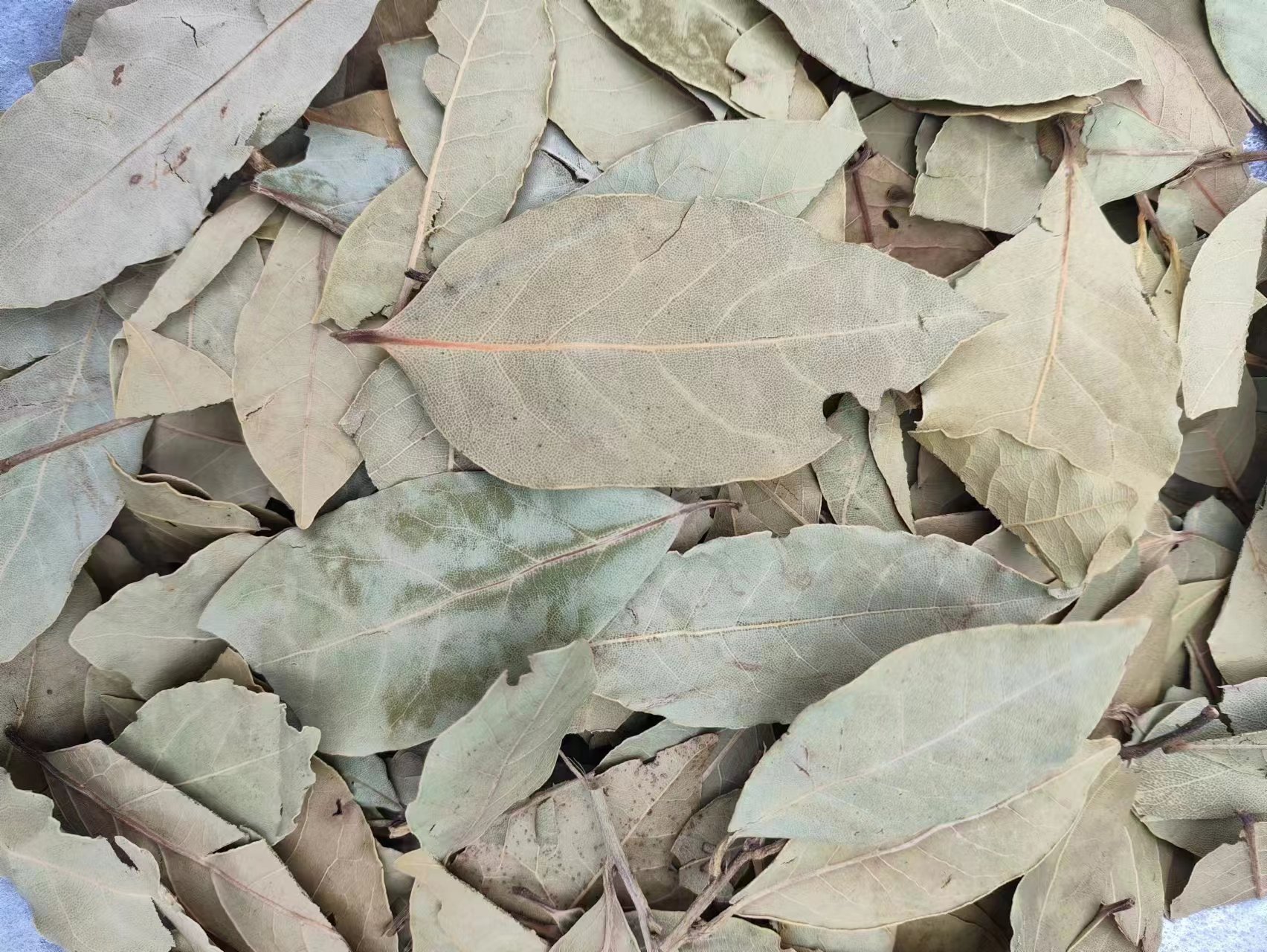Xiang Ye (Laurus nobilis) — Dried Bay Leaf Spice & Herbal Powder, 500g quality and texture