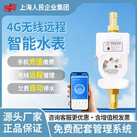 上海人民企业定制大口径4G智能远传水表远程抄表无线预付费水表