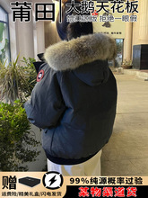 ���Z�w�ЊA����q���п��2025�¿�Ӻ�ů�BñŮʿ�ɿ˷�����