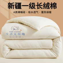 2025�¿��½����޻������ޱ�о�����Ӻ�ů����������˴��ﱻ��