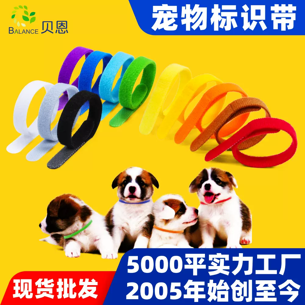 工厂批发严选宠物项圈新生猫咪狗狗身份ID标记识别12色魔术贴绑带