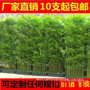 �S��ֱ�N�����҃��b������ϼ����Ӹ������L����������ֲ���쾰