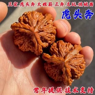 ������Ҙ��������Ҽ޽�������Ҙ���{���^��ñ�����Ǯ�����