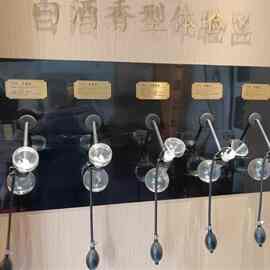 漏斗闻香器咖啡豆香水香精酒香料闻香仪白酒品鉴闻香瓶spa制香仪